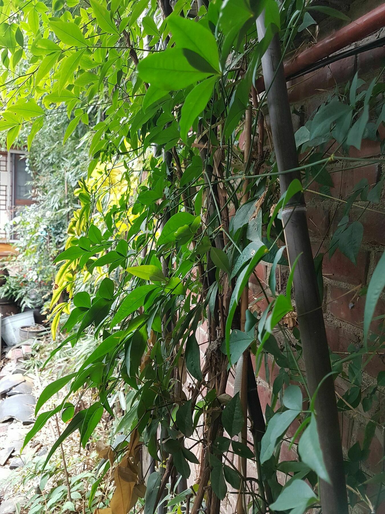 Gongsimga Hanok 2* Séoul